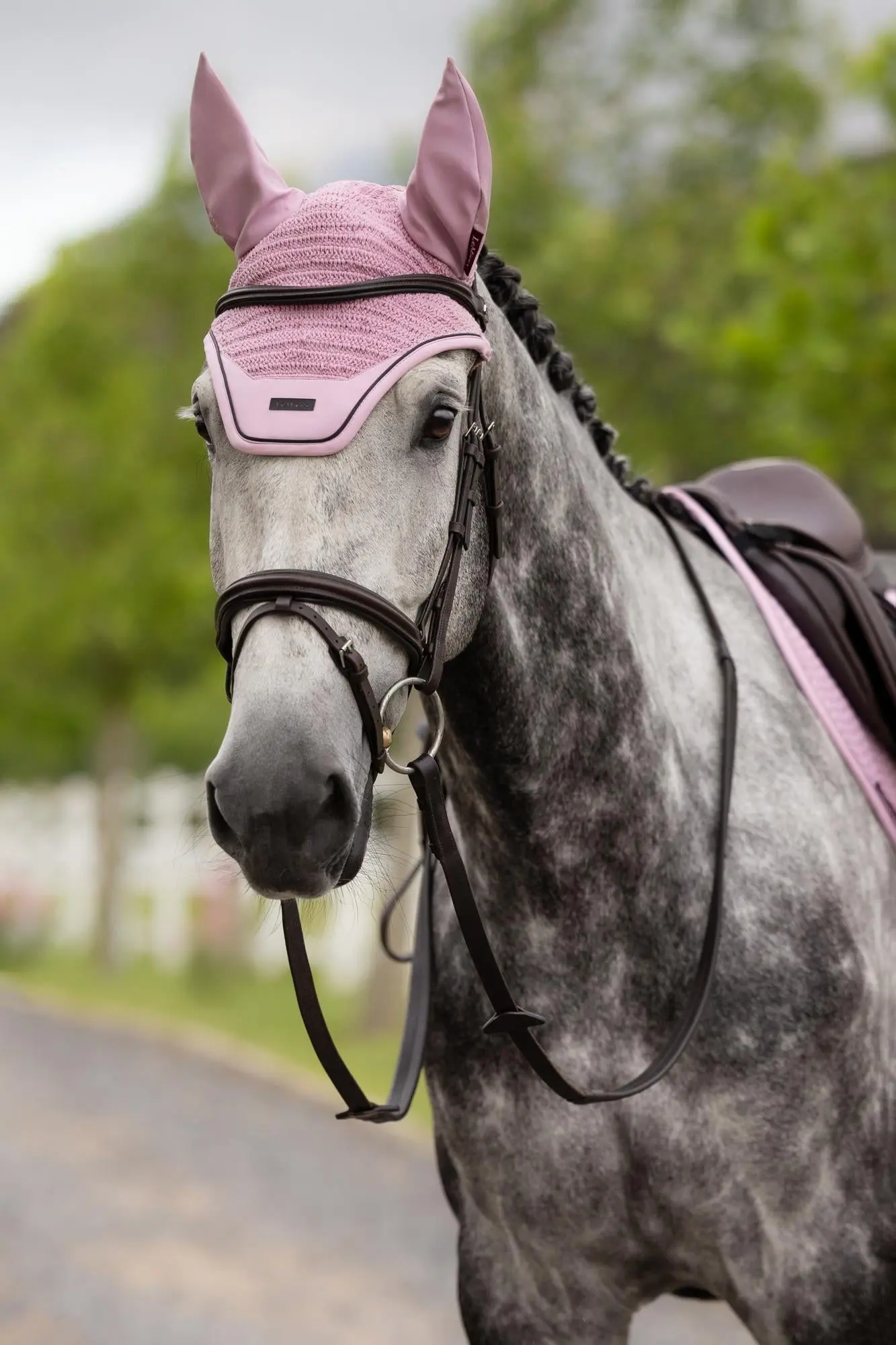 LeMieux New Season SS26 Collection